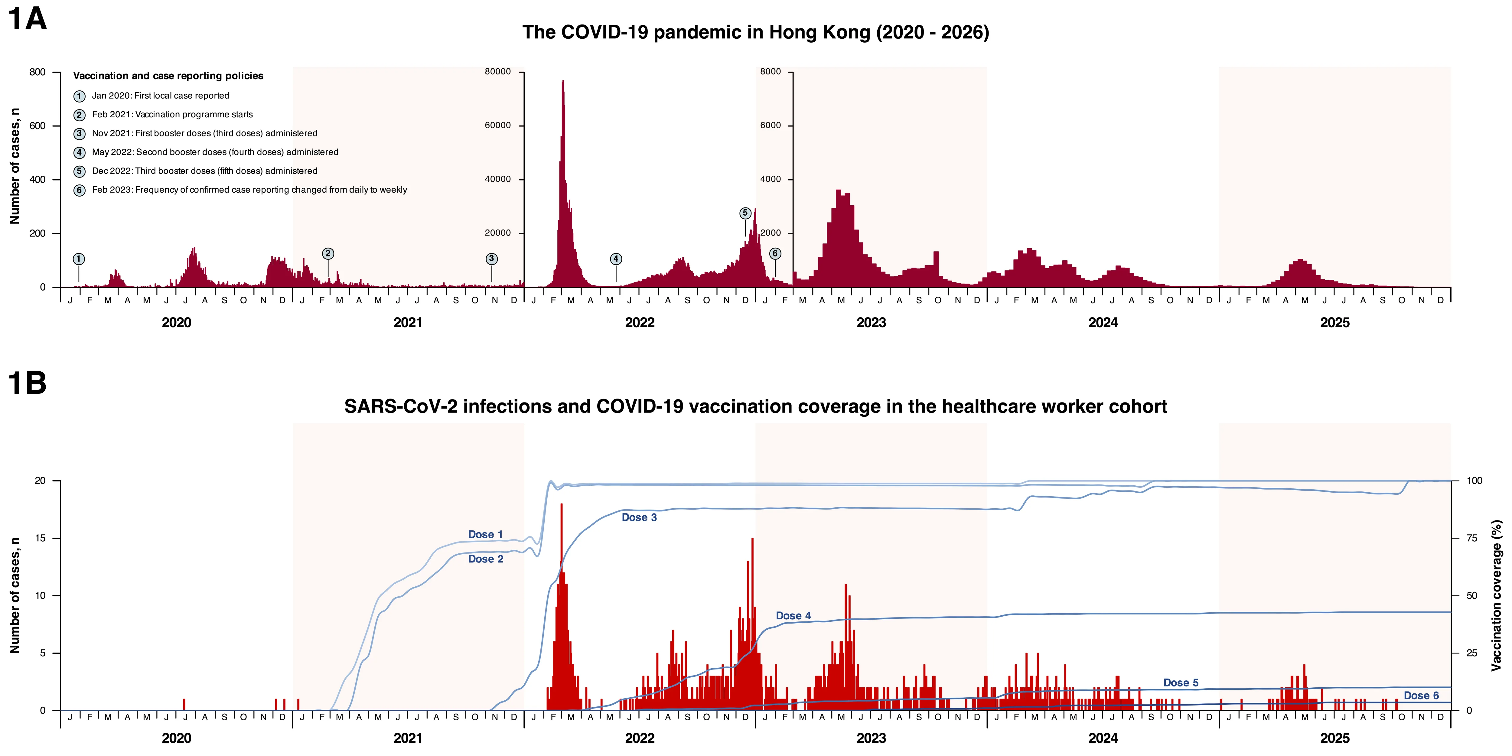 Figure 1. Panel A: Confirmed SARS-CoV-2 cases in Hong Kong. Panel B: Cases reported in the cohort and changes in vaccination uptake over time.